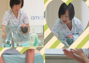 月河宝宝家政 专业母婴护理与家政服务的典范
